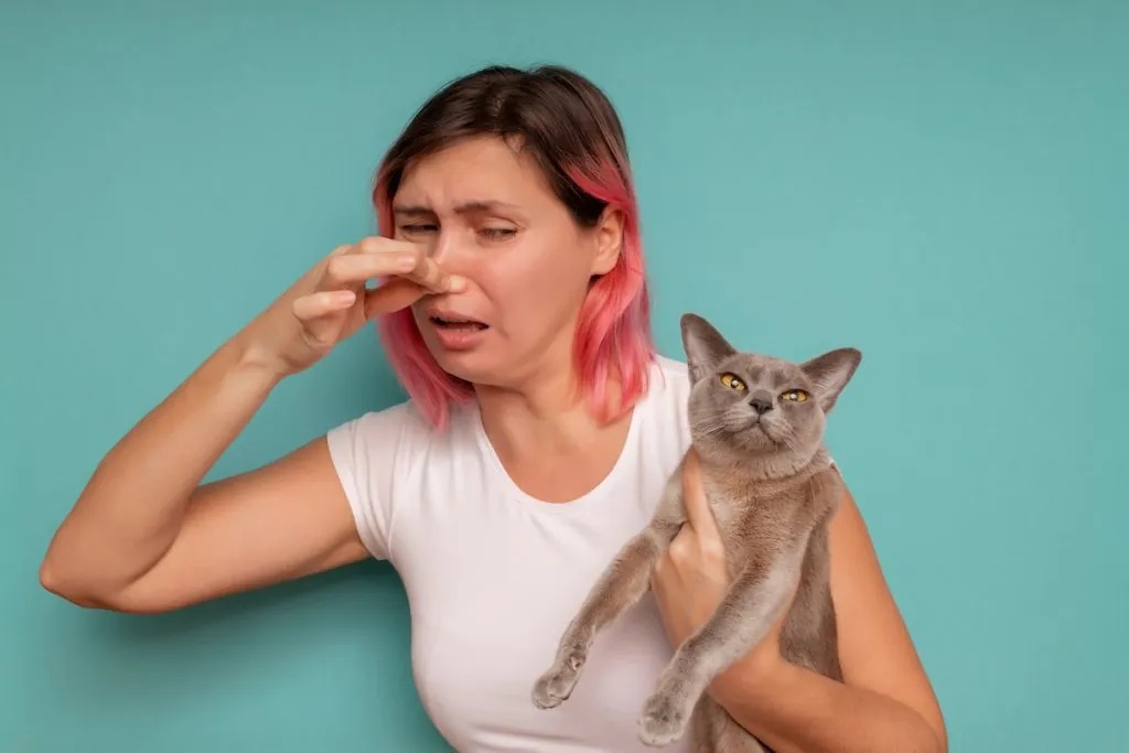 Beat the Heat (and the Stink): Eliminating Pet Odors in Your Melbourne, FL Home in 2025