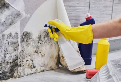Don't Let the Spores Settle: Why DIY Mold Removal in Your Melbourne Home is a Risk You Can't Afford in 2025