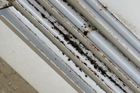 Can Mold Grow on Metal Air Vents