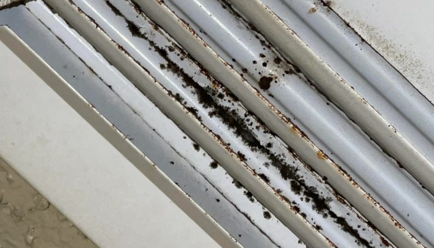 Can Mold Grow on Metal Air Vents
