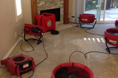 Common Causes of Water Damage in Brevard County: What Every Property Owner Should Know
