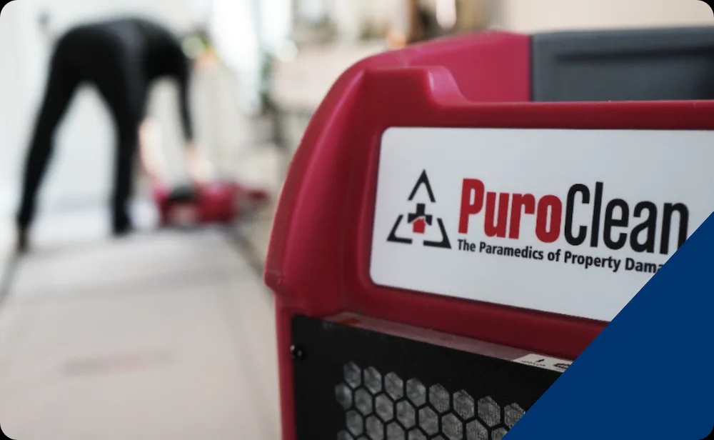 Emergency Water Cleanup Rockledge FL