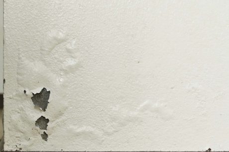 10 Signs You Have Hidden Water Damage in 2026