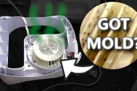 Mold in Humidifier: How to Remove Mold from Humidifier in 2026