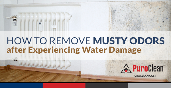 Musty Odors and Smells after Water Damage