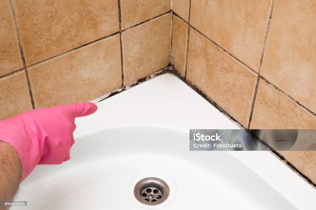 Is Mold in a Hotel Room Dangerous What You Need to Know in 2024