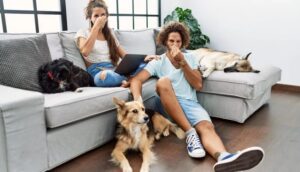 The Ultimate 2025 Guide: Eliminating Pet Odors Before They Dominate Your Melbourne, FL Home Imagine this: a gentle sea breeze whispers through your open windows, carrying the fresh, salty scent of the nearby Atlantic. The warm Florida sun streams into your living room, illuminating the happy, tail-wagging (or purring) companion at your feet. This is the idyllic Melbourne lifestyle so many of us cherish. Our pets are not just animals; they are family. They’re our co-pilots on drives down A1A, our furry companions for a stroll through the Eau Gallie Arts District, and our sources of unconditional love day in and day out. But let's be honest. Sometimes, another scent competes with that fresh sea breeze—an aroma that is decidedly more… animal. In the unique, humid climate of Brevard County, common pet odors don't just exist; they thrive. They seem to cling to the very air, embedding themselves in our furniture, carpets, and routines. The battle against pet smells can feel like a relentless, uphill struggle against an invisible invader. Fear not. This is not a battle you have to lose. In fact, you can win it before it even begins. This is your ultimate 2025 guide to moving beyond simply masking pet odors and transitioning to a proactive strategy of complete elimination. We're going to dive deep into the science behind the smells, provide a room-by-room playbook for defending your home, and offer a comprehensive toolkit of strategies specifically adapted for the challenges of our coastal Florida environment. Get ready to transform your home back into the fresh, clean sanctuary you and your pets deserve. The Science of Smell: Why Your Nose Knows (Especially in Florida) To defeat an enemy, you must first understand it. Pet odor isn't just "a smell"; it's a complex cocktail of biological compounds. Understanding the source is the first step toward true eradication. The Infamous "Wet Dog Smell": A Microbiome in Action Every dog owner knows it. That pungent, musty, "Frito-like" scent that blossoms the moment your dog gets wet, whether from a dip at Canova Beach Dog Park or a sudden Melbourne downpour. This odor isn't the smell of the dog itself, but rather the smell of microscopic life living on your dog. Your dog's coat is a complex ecosystem, home to billions of microorganisms like yeast (notably Malassezia pachydermatis) and bacteria. In a dry state, these microbes produce volatile organic compounds (VOCs) at a slow, often unnoticeable rate. However, when you introduce water, everything changes. Water acts as a solvent and a propellant. It displaces these smelly VOCs from the fur and skin, launching them into the air where they can travel directly to your olfactory receptors. The Melbourne Humidity Factor: Here in Florida, high humidity means the air is already saturated with water vapor. This slows down the evaporation process, allowing that "wet dog" smell to linger for hours, or even days. The damp air acts like a heavy blanket, trapping the odor molecules close to the ground and allowing them to penetrate deeper into porous surfaces like your couch and carpets. Feline Fragrances: The Unforgiving Chemistry of Cat Odor Cat-related odors, while less pervasive than the "wet dog" smell, are chemically more resilient and challenging to eliminate. The Litter Box Problem: Cat urine is a potent brew of urea, urochrome, and uric acid. While urea and urochrome are relatively easy to clean, uric acid is the true villain. It’s composed of non-water-soluble salt crystals. When you attempt to clean cat urine with plain water or simple soap, you might remove the other components, but the uric acid crystals are left behind. These crystals remain dormant until they are exposed to moisture—like the ever-present humidity in a Melbourne home. When they get damp, they re-crystallize and release the full, pungent odor all over again. This is why a urine spot you thought you cleaned can suddenly reappear on a humid day. Scent Marking and Spraying: Cats communicate through scent. While the gentle head-bunting that leaves pheromones on your leg is harmless, territorial spraying is a different story. The urine used for spraying contains additional chemicals, including felinine and isovalthene, which are designed to be powerful, long-lasting signals to other cats. These compounds are notoriously difficult to break down and require specialized cleaners. Dander and Hair: It's not just about accidents. Both cats and dogs shed dander (dead skin cells) and hair. This dander is a primary food source for dust mites and odor-causing bacteria. The hair itself acts as a vehicle, carrying dander, oils, and outdoor allergens (like pollen from our Florida oaks and pines) throughout your home, depositing them everywhere your pet goes. The Proactive Playbook: A Head-to-Tail Grooming Regimen The single most effective way to control pet odor is to manage it at the source: your pet. A rigorous, consistent grooming routine is not an indulgence; it's your first and best line of defense. The Ultimate Bathing and Drying Strategy Choose the Right Shampoo: Don't just grab any bottle. Deodorizing Shampoos: These often contain ingredients like baking soda, oatmeal, or specific enzymes to neutralize odors. Medicated Shampoos: If your vet diagnoses a skin condition or yeast infection (common in humid climates), a medicated shampoo will treat the underlying cause of the odor. Hypoallergenic Shampoos: For pets with sensitive skin, these gentle, fragrance-free options are ideal. The Double-Wash Technique: For a truly deep clean, wash, rinse, and repeat. The first wash breaks up the surface dirt and oils. The second wash cleans down to the skin, eliminating the source of the odors. Conditioning is Crucial: A good conditioner helps to re-hydrate the skin and smooth the hair cuticle, which can reduce shedding and make your pet's coat less hospitable to microbes. Drying is Non-Negotiable: A damp dog is a smelly dog. In Melbourne's climate, air-drying can take forever and encourages microbial growth. Towel Dry Vigorously: Start with a super-absorbent microfiber or shammy towel. Invest in a High-Velocity Dryer: For home groomers, these devices don't use heat; they blast water off the coat with force. They are incredibly effective at getting a pet fully dry, from the undercoat out. Hair Dryer on Cool: For smaller dogs, a regular hairdryer on the coolest, lowest setting can work. Keep it moving to prevent concentrating heat on one spot. Beyond the Bath: Daily and Weekly Rituals Brushing: Daily brushing is essential. It removes loose hair and dander before they can furnish your home. Select the right tool for your pet's coat: a slicker brush for tangles, a pin brush for long hair, and a de-shedding tool (like a FURminator) during peak shedding seasons to remove the dense undercoat. Paw Care: Your pet's paws are magnets for dirt, sand, allergens, and bacteria. Create a Paw Wiping Station: Keep a shallow tub of water and a dedicated "paw towel" by the door. A quick dip and wipe after every trip outside makes a world of difference. Inspect and Trim: Regularly check between paw pads for debris and trim the hair to prevent matting and trapping of moisture and dirt. Dental Hygiene: "Dog breath" is a major contributor to household odor. It's also often a sign of dental disease, which can lead to serious health issues. Daily Brushing: It's the gold standard. Use a pet-specific toothbrush and enzymatic toothpaste. Dental Chews & Water Additives: These can be helpful supplements to brushing, but not replacements. They help reduce plaque buildup. Know the Signs: Bad breath, yellow/brown tartar, red gums, and difficulty eating are all red flags that warrant a vet visit. Ear Cleaning: Floppy-eared dogs are especially prone to ear infections in our damp climate. Trapped moisture creates a perfect breeding ground for yeast and bacteria. Weekly Checks: Gently lift the ear flap and look for redness, swelling, or discharge. Give it a sniff; a foul or yeasty odor is a sure sign of a problem. Safe Cleaning: Use a vet-approved ear cleaning solution on a cotton ball (never a Q-tip, which can damage the ear canal) to gently wipe the outer parts of the ear. Your Room-by-Room Guide to an Odor-Free Melbourne Home Odor control requires a strategic defense of your entire living space. Here's how to tackle each room. The Living Room: The Heart of the Home This is where you and your pets spend the most time together, so it's ground zero for odors. Upholstery Deep Dive: Your sofa is a giant sponge. Fabric Couches: Sprinkle liberally with baking soda, let it sit for at least 30 minutes (a few hours is better), and vacuum thoroughly using the upholstery attachment. For deeper cleaning, use a dedicated upholstery steam cleaner with a pet-formula solution. Leather Couches: Wipe down regularly with a 50/50 solution of water and white vinegar. The vinegar neutralizes odors, and the smell dissipates as it dries. Follow up with a quality leather conditioner. The Magic of Slipcovers: The ultimate solution. Buy machine-washable slipcovers and launder them weekly. Carpets & Rugs: The Fiber Trap: Vacuuming Technique: Don't just rush through it. Use a slow, overlapping cross-hatch pattern (north-south, then east-west) to lift fibers from all directions. The HEPA Filter Advantage: Your vacuum cleaner should have a HEPA filter to trap microscopic dander and allergens, preventing them from being blown back into the air. DIY Carpet Deodorizer: Mix one cup of baking soda with 10-15 drops of a pet-safe essential oil like lavender. Sprinkle over the carpet, wait an hour, and vacuum. Professional Cleaning: Schedule a professional steam cleaning at least once or twice a year. It's an investment in the life of your carpet and the freshness of your home. Curtains & Blinds: These are silent odor collectors. Wash curtains seasonally. For blinds, wipe them down with a microfiber cloth dampened with a vinegar-water solution. The Bedroom: Protecting Your Sanctuary A smelly bedroom disrupts sleep and well-being. The Bedding Rule: Wash all your bedding—sheets, blankets, comforters—weekly in hot water. If your pet sleeps with you, this is non-negotiable. Consider using a dedicated, easily washable "pet blanket" on top of your comforter. The Pet Bed: This is often the most concentrated source of odor in the entire house. Choose a bed with a removable, machine-washable cover and wash it weekly. For the inner pillow, sprinkle with baking soda and leave it out in the Florida sun for a few hours; UV light is a natural disinfectant and deodorizer. The Kitchen & Entryway: First Lines of Defense Feeding Station: Wash food and water bowls daily with hot, soapy water to prevent bacteria (biofilm) buildup. Stainless steel or ceramic bowls are far more hygienic than porous plastic. The Mudroom/Entryway Cleaning Station: This is where you stop odors at the door. Your station should include: An absorbent, washable rug. A stack of clean towels. A bottle of pet-safe paw wipes. A hamper for dirty towels. Harnessing Technology and Nature: Your Deodorizing Toolkit Arm yourself with the right tools to actively remove odors from the air and surfaces. Air Purification: A Game-Changer for Florida Homes HEPA is King: High-Efficiency Particulate Air (HEPA) filters are certified to capture 99.97% of particles as small as 0.3 microns. This includes pet dander, dust mite feces, and pollen. Activated Carbon is for Odors: While HEPA filters trap particles, activated carbon filters trap odors. The carbon's porous surface adsorbs the gaseous VOCs responsible for smells. For pet owners, a purifier with both a HEPA and a substantial carbon filter is the gold standard. CADR and Sizing: Look for the Clean Air Delivery Rate (CADR). This tells you how quickly the purifier can clean a room. Match the CADR to your room's square footage for maximum effectiveness. Place the unit in the room where your pet spends the most time. HVAC System Optimization: Your central AC is your home's lungs. Use it to your advantage. High-MERV Filters: Upgrade from standard fiberglass filters to filters with a MERV (Minimum Efficiency Reporting Value) rating of 8-12. These capture a much higher percentage of airborne particles. Professional Duct Cleaning: If you've just moved into a home previously owned by pet owners, or if odors persist despite all your efforts, your air ducts could be coated in years of dander and dust. A professional cleaning can make a dramatic difference. The Natural Solutions Arsenal Baking Soda: The champion of cheap and effective odor absorption. Use it everywhere: on carpets, in pet beds, in a dish in the fridge, and even a small amount mixed into your cat's litter. White Vinegar: Its acetic acid breaks down alkaline molecules in pet urine. Create an all-purpose deodorizing spray with a 50/50 mix of white vinegar and water in a spray bottle. It's safe for most fabrics (spot-test first!). Activated Charcoal: Use bags of activated charcoal (bamboo charcoal) as passive odor absorbers in closets, cars, and near litter boxes. A Word of CAUTION on Essential Oils: While they can make a home smell lovely, many essential oils are highly toxic to pets, especially cats. TOXIC OILS: Avoid diffusing Tea Tree, Pine, Citrus (lemon, orange), Peppermint, Cinnamon, and Eucalyptus oils. SAFER OPTIONS (use sparingly in a well-ventilated room): Lavender, Chamomile, and Frankincense are generally considered safer. NEVER apply essential oils directly to your pet's skin or fur. Crisis Management: The Accident Action Plan Even with the best-behaved pet, accidents happen. Your response in the first few minutes is critical. Blot, Don't Rub! Immediately grab a thick wad of paper towels and stand on it. Blot up as much of the liquid as you possibly can. The more you remove now, the less there is to treat. Rinse and Blot Again: Gently pour a small amount of cool water on the spot and repeat the blotting process. This helps to dilute the remaining urine. Bring in the Enzymes: This is the crucial step. Douse the area with a high-quality enzymatic cleaner. These products contain beneficial bacteria and enzymes that literally digest the uric acid crystals, completely eliminating the source of the odor. Don't be shy with the spray; you need to saturate the spot as deeply as the urine went, including the carpet padding. Cover and Wait: Cover the treated area with a damp towel and let it sit for 24-48 hours. This keeps the enzymes "alive" and working. Air Dry: Once the waiting period is over, remove the towel and let the area air dry completely. Finding Old Stains: Can't locate the source of a smell? A UV blacklight will cause the salts in dried urine to fluoresce, revealing old, hidden accident spots. Your Final Step to a Fresher Melbourne Home Living with pets in our beautiful corner of Florida is a joy that far outweighs the challenges. By adopting a proactive mindset and using the detailed strategies in this guide, you can absolutely have a home that smells fresh, clean, and inviting, not like the local dog park. It's about creating a system: consistent grooming, daily cleaning rituals, leveraging the right technology, and responding to accidents swiftly and effectively. Embrace these practices, and you'll find that the only thing that dominates your Melbourne home is the love and happiness you share with your furry family members.