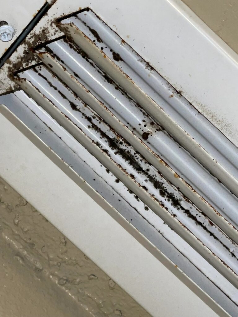 Can Mold Grow on Metal Air Vents