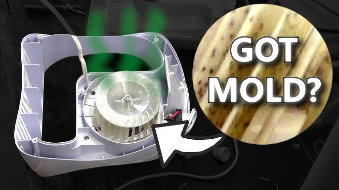 Mold in Humidifier: How to Remove Mold from Humidifier in 2026
