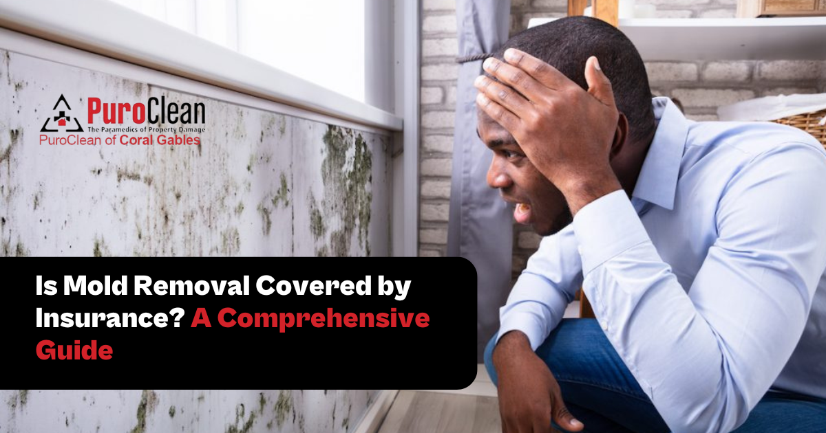 Is Mold Removal Covered by Insurance? A Comprehensive Guide