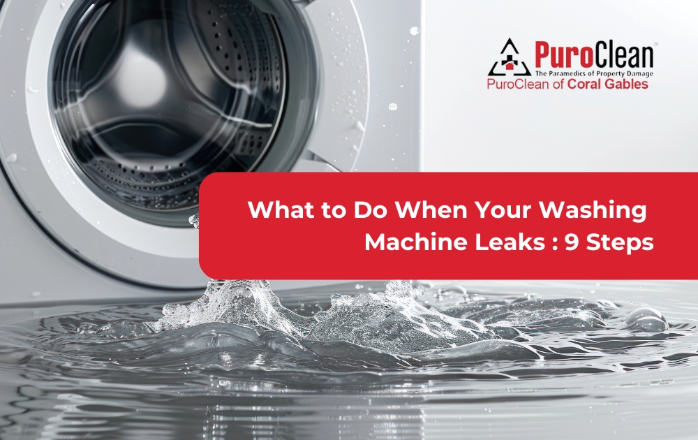 Washing machine leaks