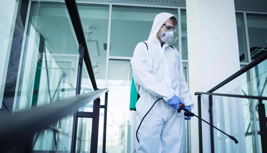 mold remediation