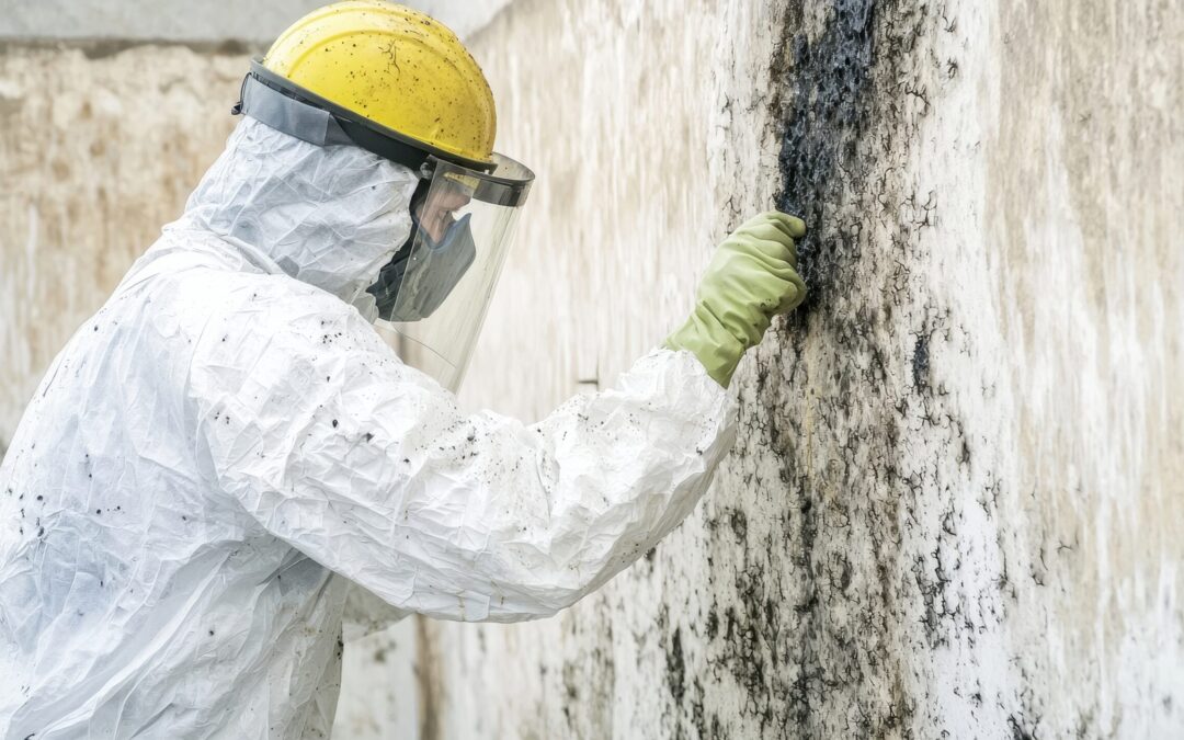 commercial mold risks Coral Gables business owners