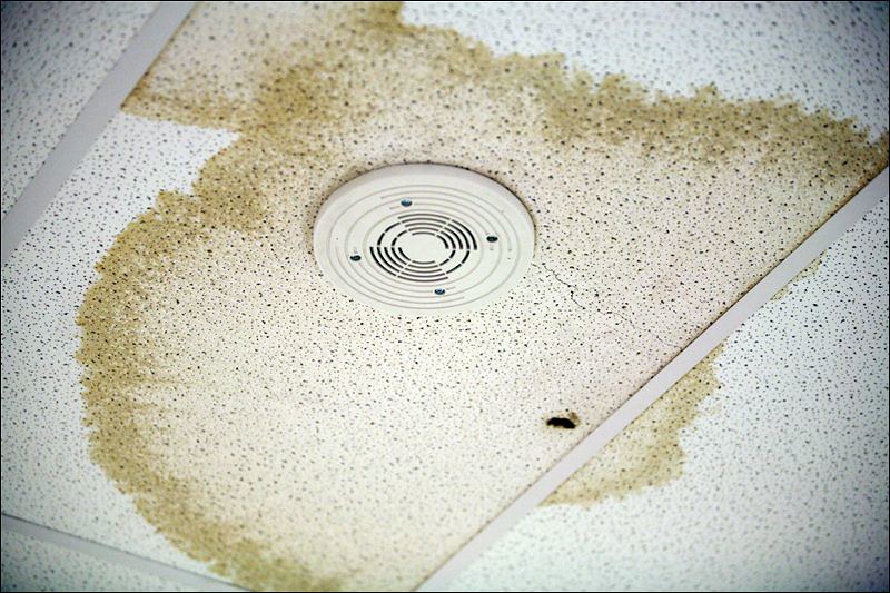 roof water damage