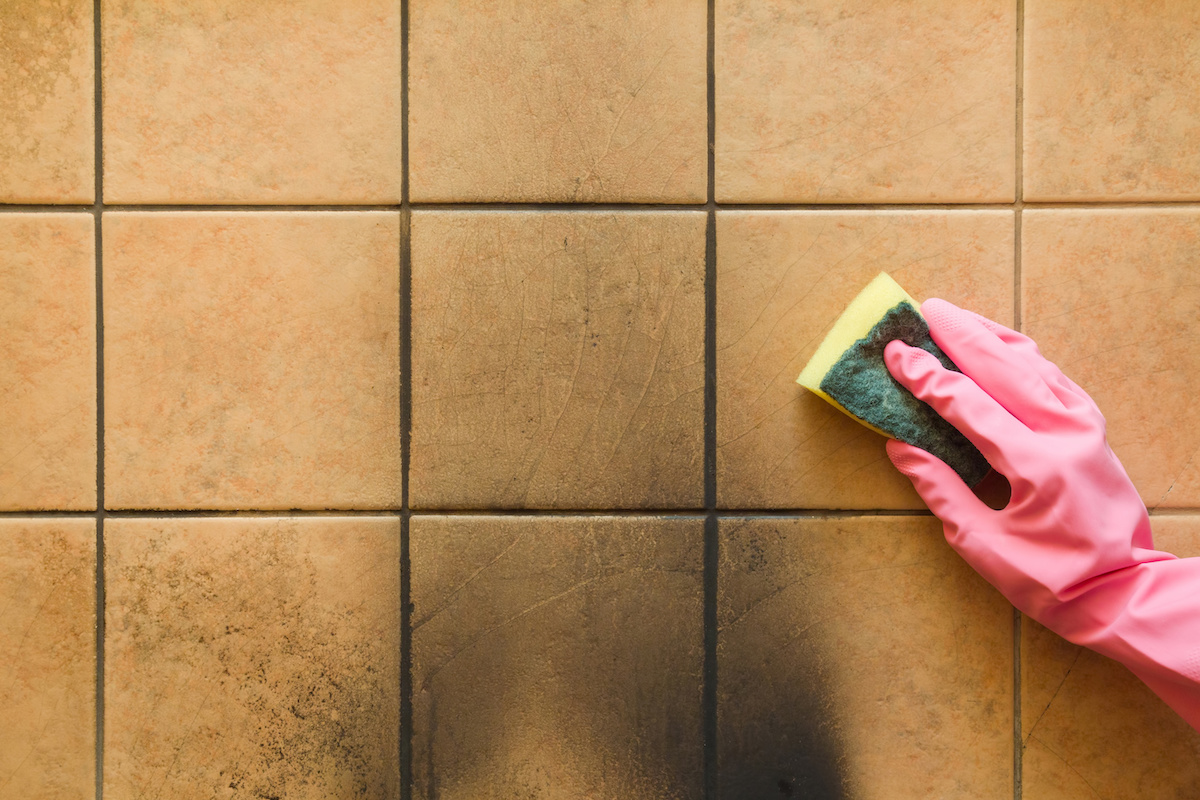 Tile & Grout Cleaning Services