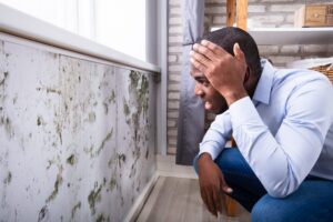 Mold Growth After a Miami Flood
