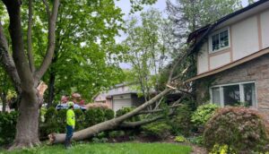 Post-Storm Home Inspection