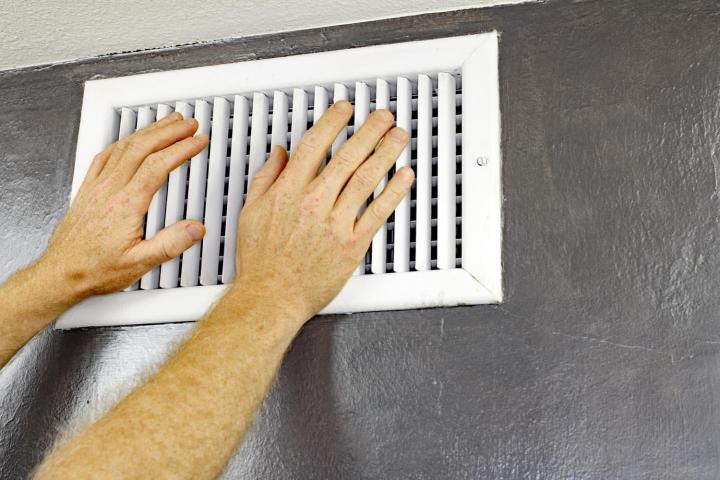 mold in air duct