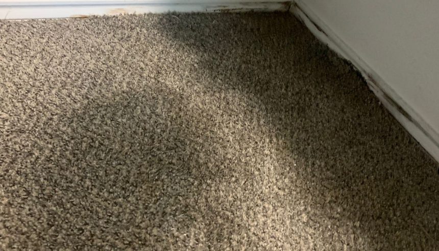 Carpet Water Damage