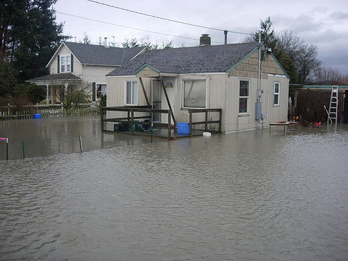 water damage in coconut grove