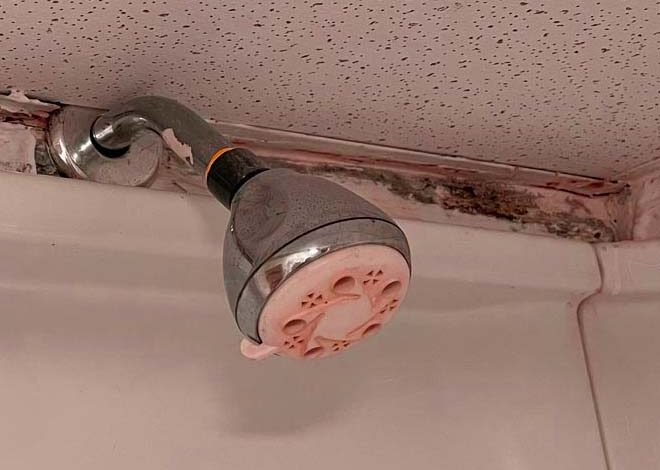 Mold in the Shower
