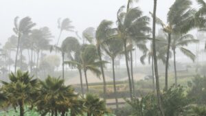 Water Damage After Heavy Rain in Coral Gables, Florida