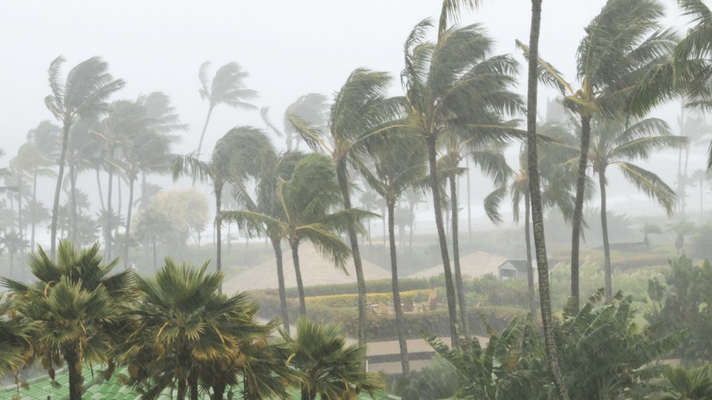Water Damage After Heavy Rain in Coral Gables, Florida