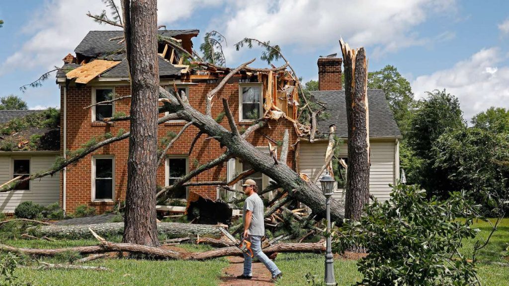 storm cleanup services