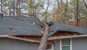 Wind damage restoration