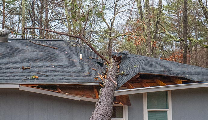 Wind damage restoration