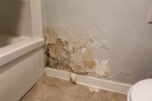 Bathroom Drywall Damage