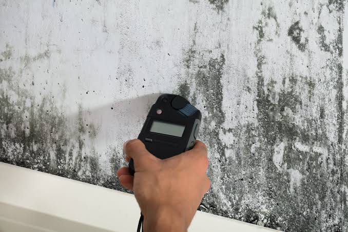 Mold Testing and Remediation in Coral Gables
