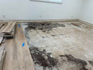 mold under flooring