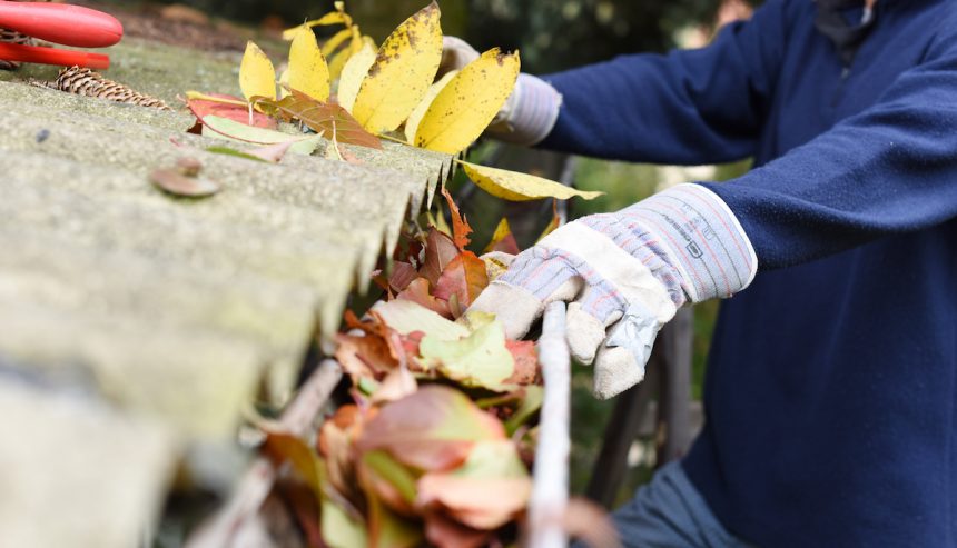 How to Clean Gutters: The Complete Homeowner’s Guide
