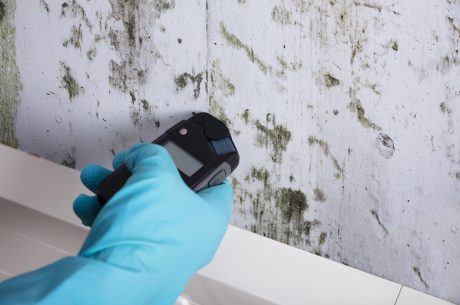 clean up mold