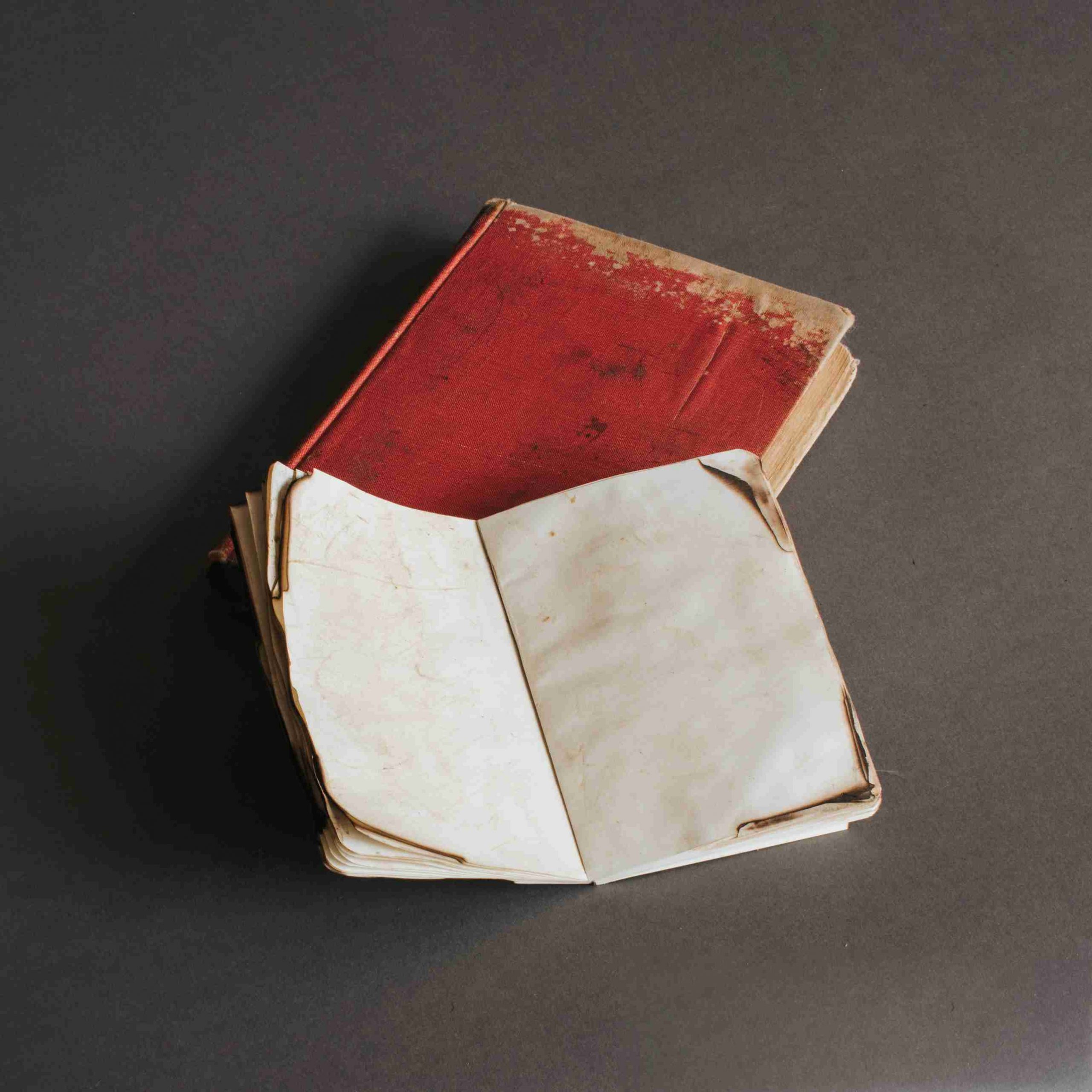 How to Save Water Damaged Collections (photos, papers, and books)