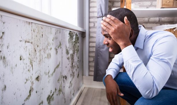 When to Hire a Black Mold Removal Service: 7 Warning Signs