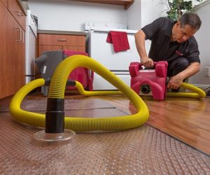 Damage restoration services
