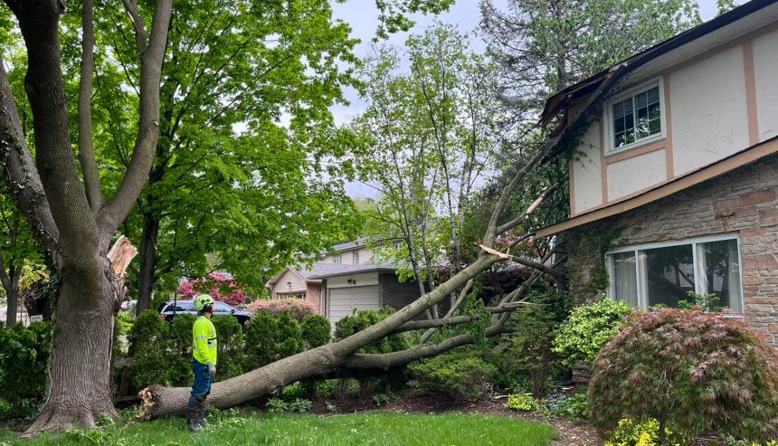 Storm damage