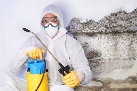 Cost of Mold Removal in Miami