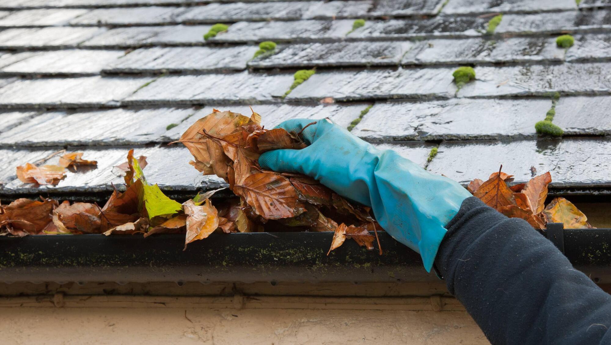 Gutter Cleaning Service in Coral Gables