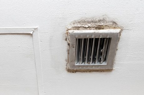 HVAC mold removal