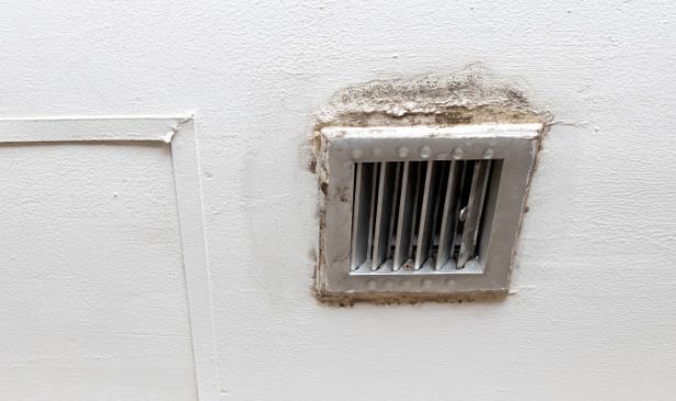 HVAC Mold Removal: 10 Tips Homeowners Should Know