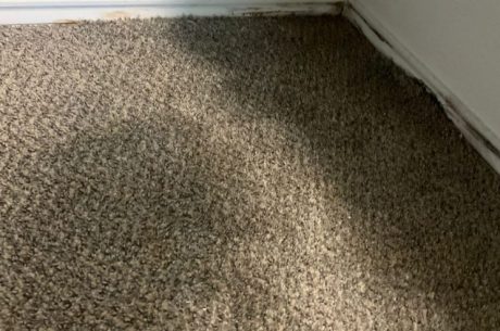 Carpet Water Damage