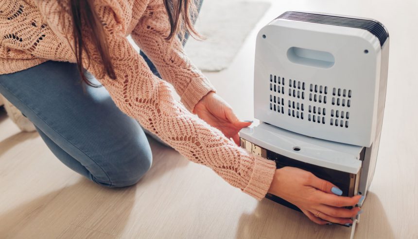 7 Powerful Reasons a Dehumidifier Is Essential After Water Damage