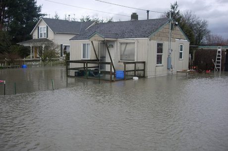 water damage in coconut grove