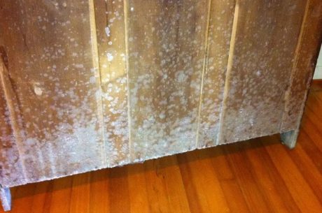 Mold removal from furniture