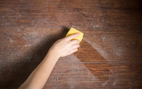 Mold removal from furniture