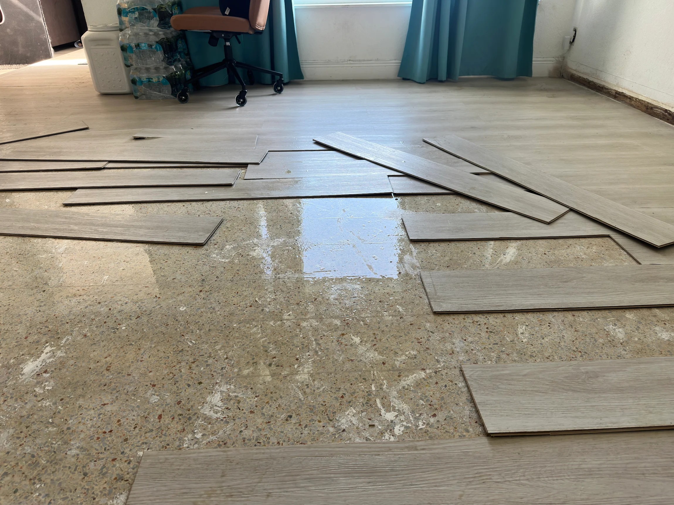 Trusted Emergency Water Damage Restoration in Coral Gables: A Real Case Study