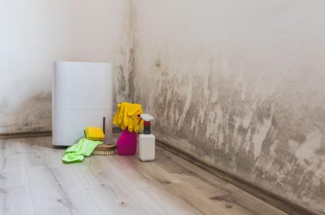 Do Air Purifiers for Mold Really Work